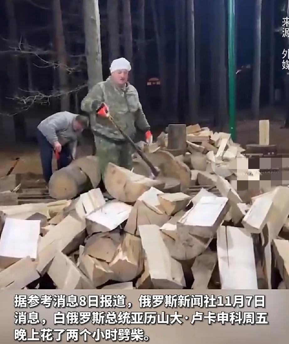 11月7日，白俄罗斯在明斯克附近举行第四届记者和新闻工作者劈柴大赛。选手除来自白