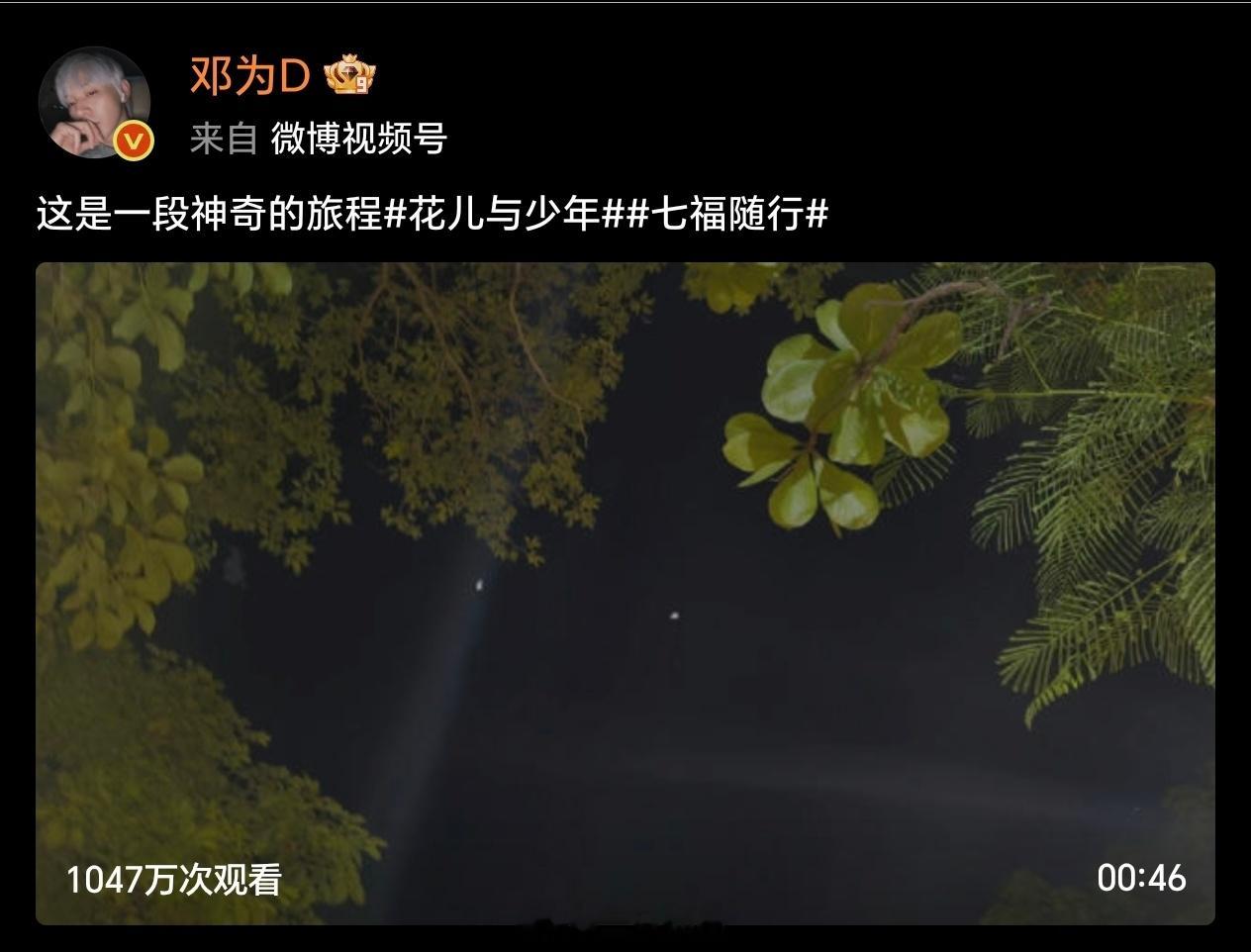 邓为《花少8》播放超1000万+，邓为真的好火🔥🔥🔥邓为花儿与少年8邓为