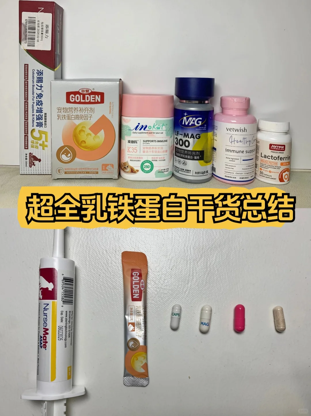 换季提升猫咪抵抗力，乳铁蛋白要选对！