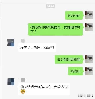 杭州“最严禁狗令”发布，已经有十多天了吧？

我比较好信儿，就和杭州的朋友打听了