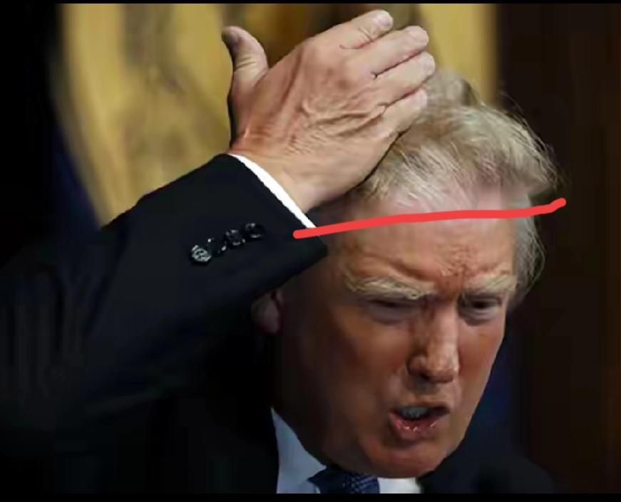 特朗普总统的金发要变成白发了，愁的啊！11月15日，美国最高法院就特朗普政府上诉