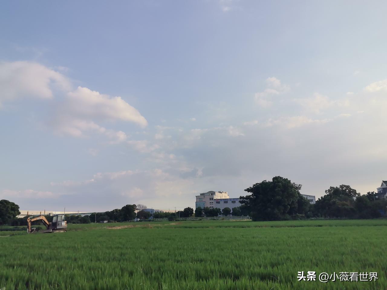 万万想不到，二堂嫂居然是这样的人。二伯父家二哥的房子就在我娘家斜对面，是我两个伯