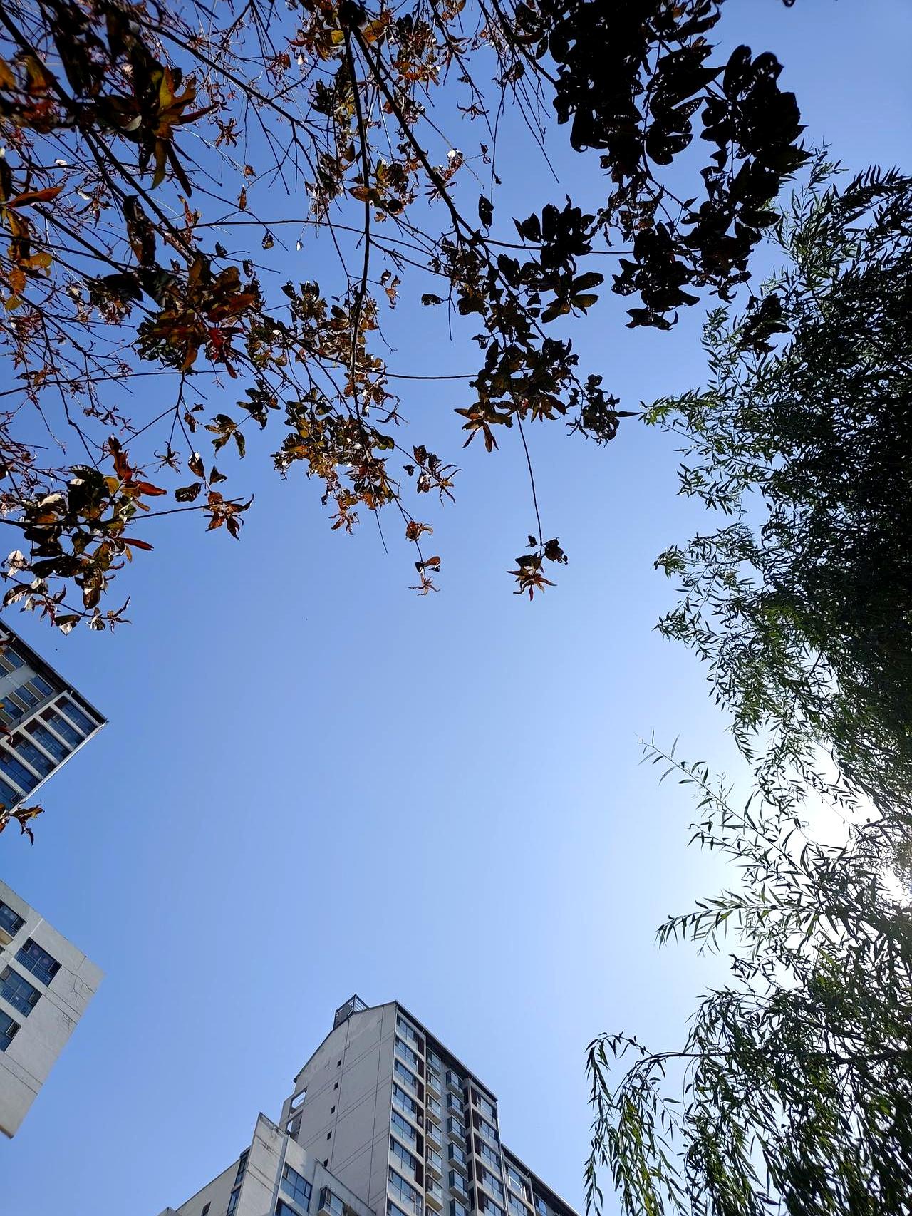 掏空父母大半辈子的养老金，凑个七八十万结个婚，结果请回来一个天天得供着的“小祖宗