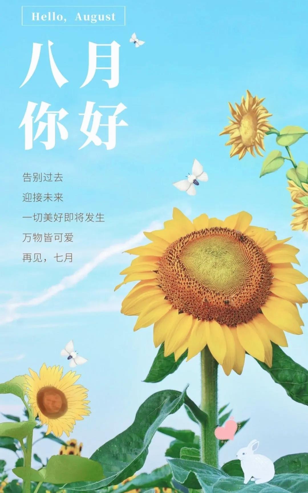 告别七月，迎接八月！向日葵与蝴蝶皆在等你，美好即将降临，万物皆可爱。
今日打卡早