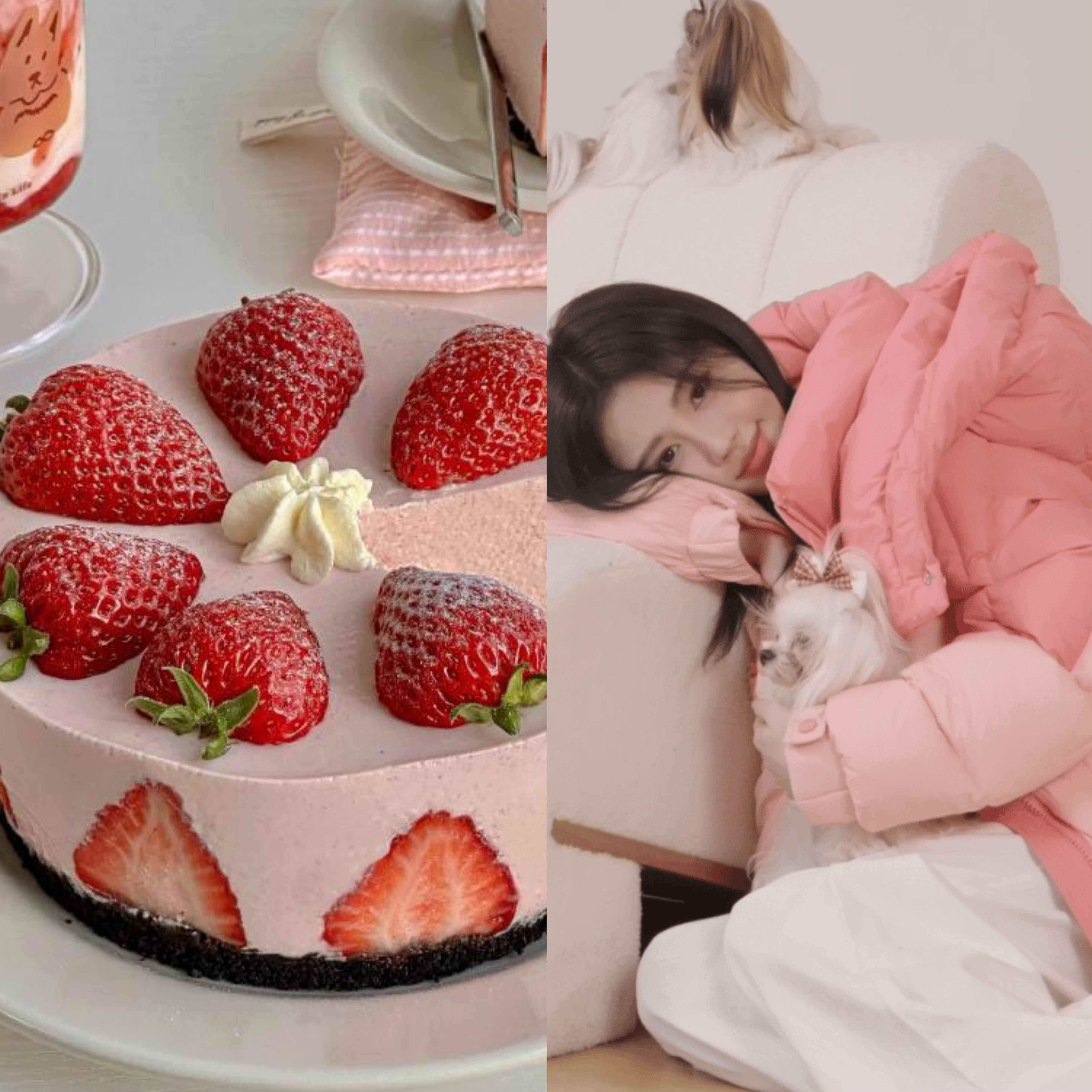 #鞠婧祎爆改草莓小蛋糕#爱了爱了[舔屏][舔屏]鞠婧祎真的好甜啊！谁家的草莓小蛋