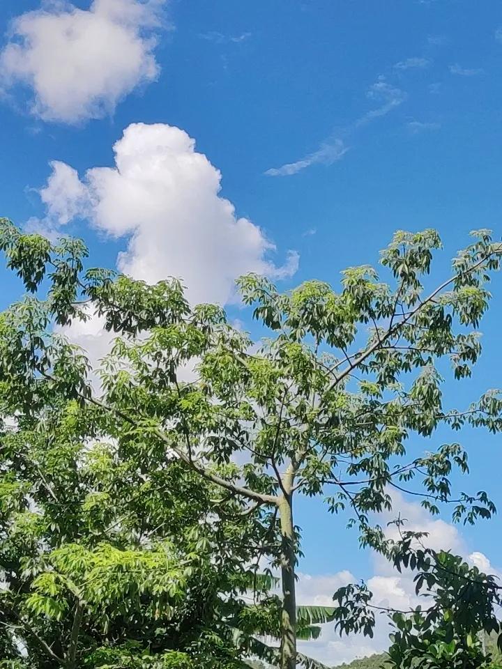 给大家分享我手机里用“豆包”AI绘制的一组古风美图。之前无意间刷到一张红色图片，