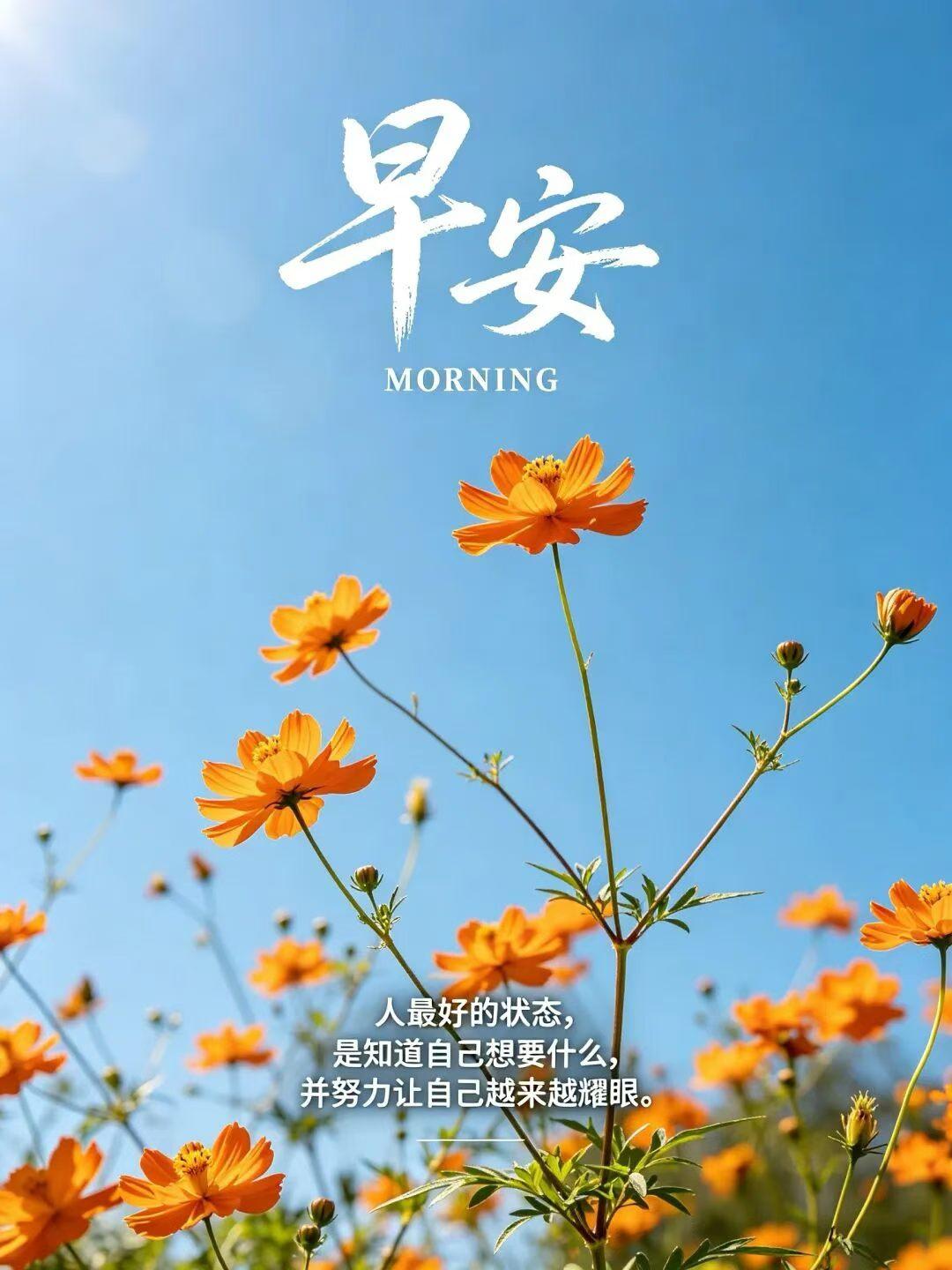 人生下半场，拼的从不是财富与地位，而是心态。心态平和，万般皆安；心态向阳，此生皆