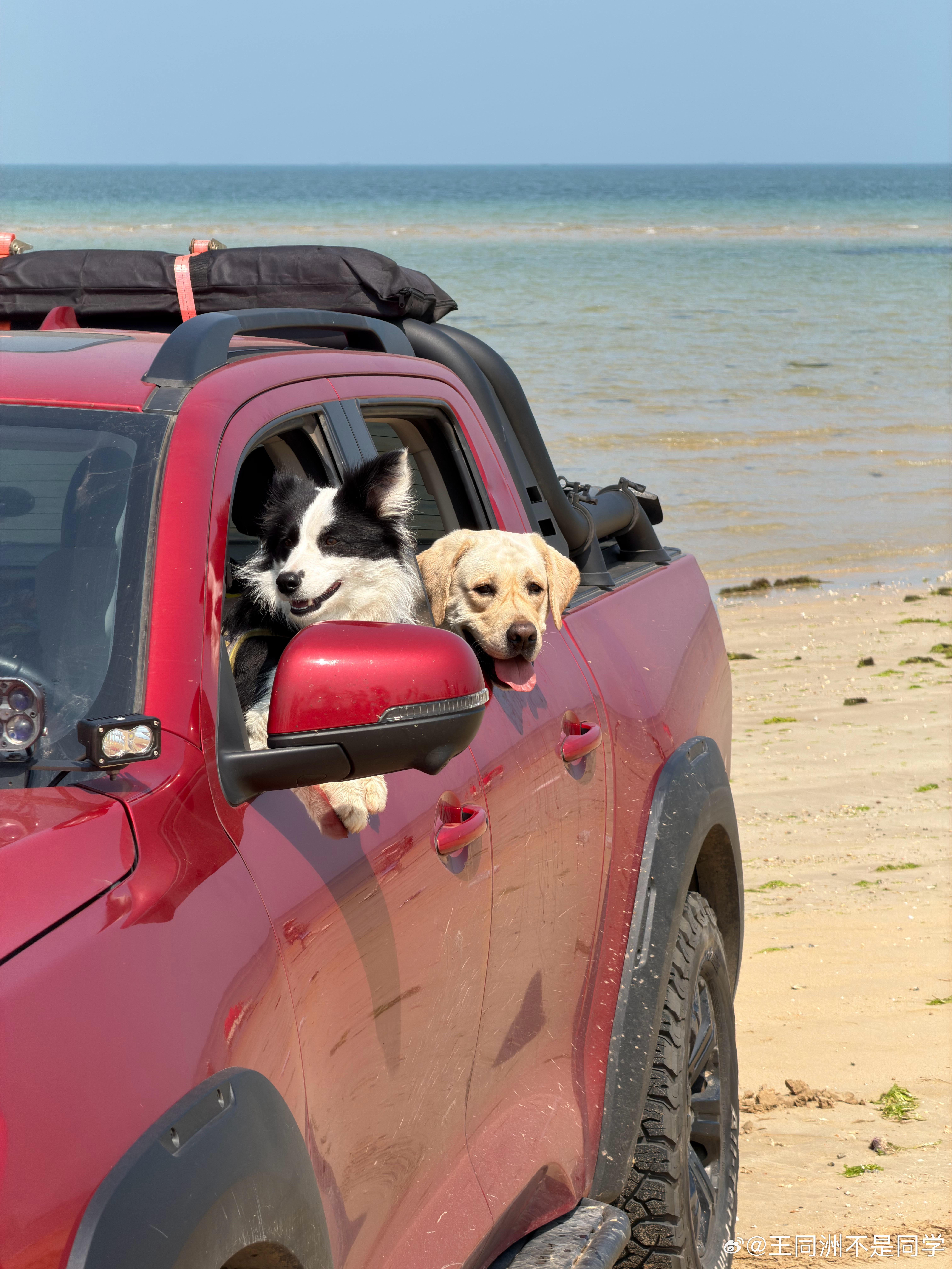 网约车电车晕车的原因晕车本质上是因为加速度频繁改变导致的。为什么乘坐汽油车很少晕