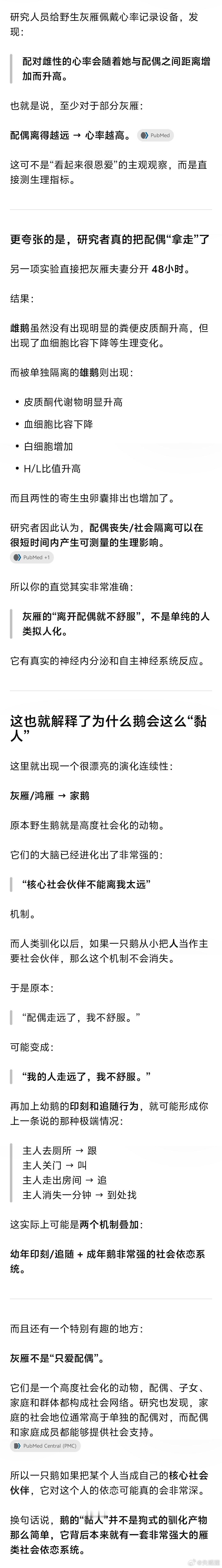 刷到一只走丢的鹅嚎得好惨（宠物大鹅找不到主人疯狂大叫，看到主人一瞬间就安静了..