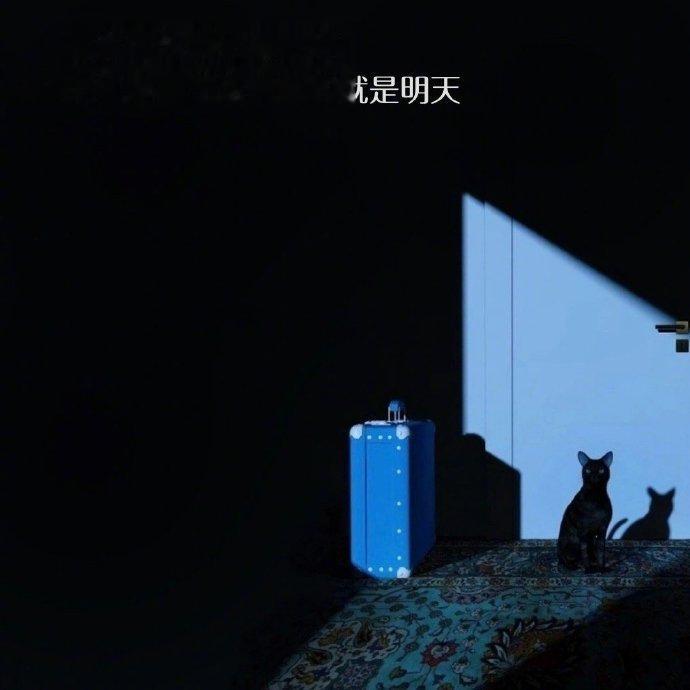 生活之所以是生活就是各有各的无奈 各有各的苦衷没有为什么 人人都要经历不一样的心
