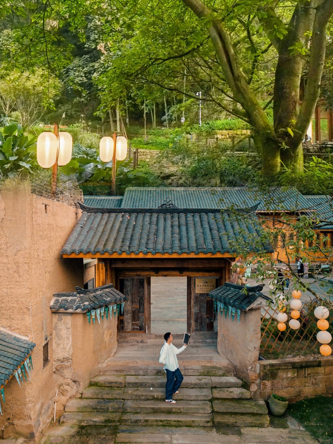 回归乡野🍃古树下的百年老宅，被自然治愈
