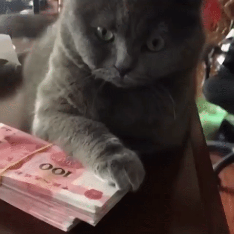 #我不沉迷游戏的原因#        我玩的第一款游戏是小霸王游戏机的马里奥兄弟