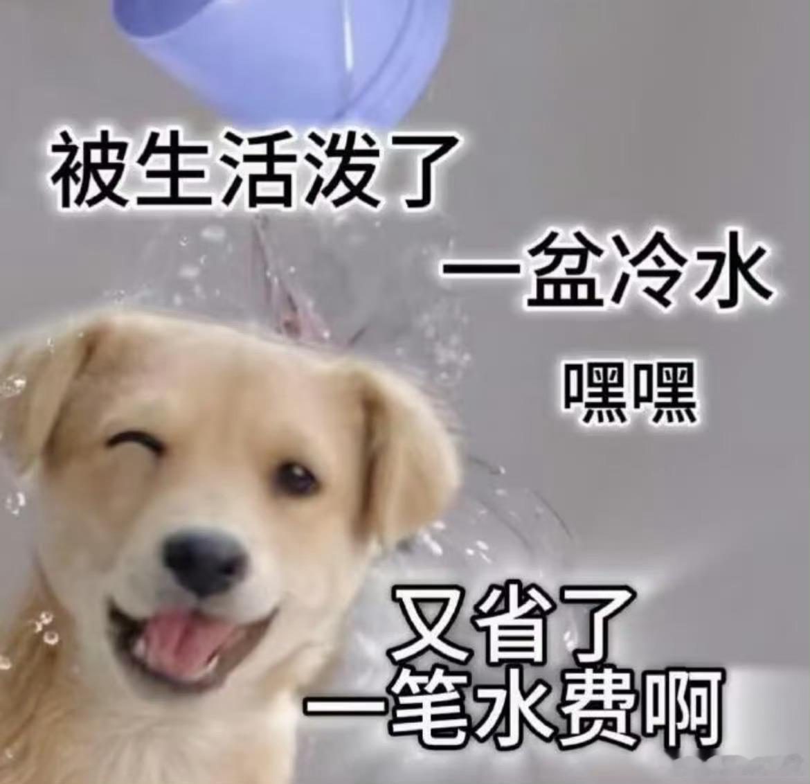 一句话让窝囊费赚得有底气 这个心态真的是很好的演出了我们当代打工人的样子，客户玄