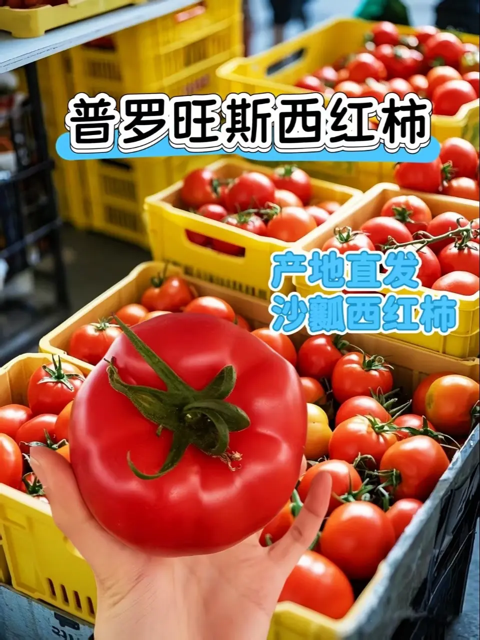 沙瓤绵软，皮薄爆汁，酸甜浓郁，一口下去回到小时候的味道～每一颗都带着阳光的味道！