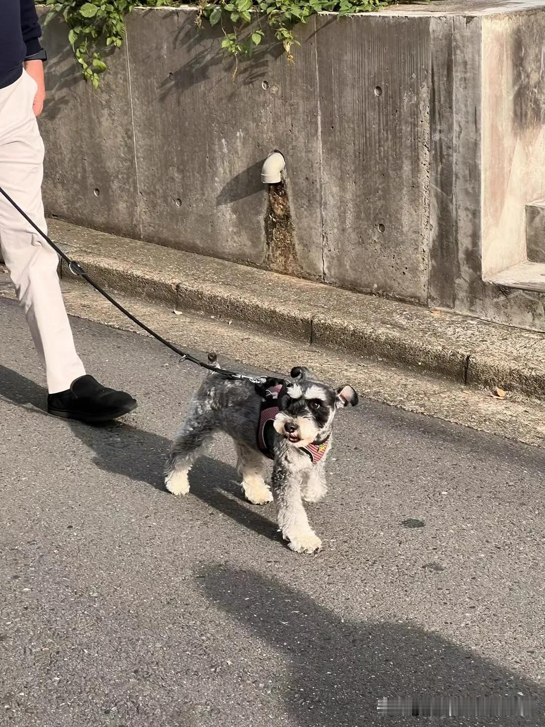 等我有钱了，我也买一个