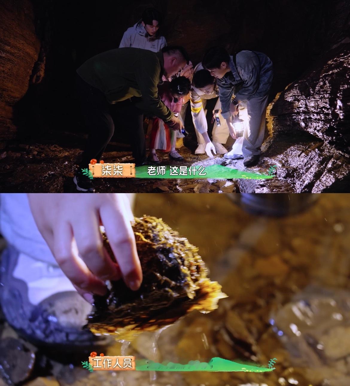 #自然学院林开播##水哥王昱珩胡明昊淡人带浓娃# 真的有被水哥胡明昊和小孩哥小孩