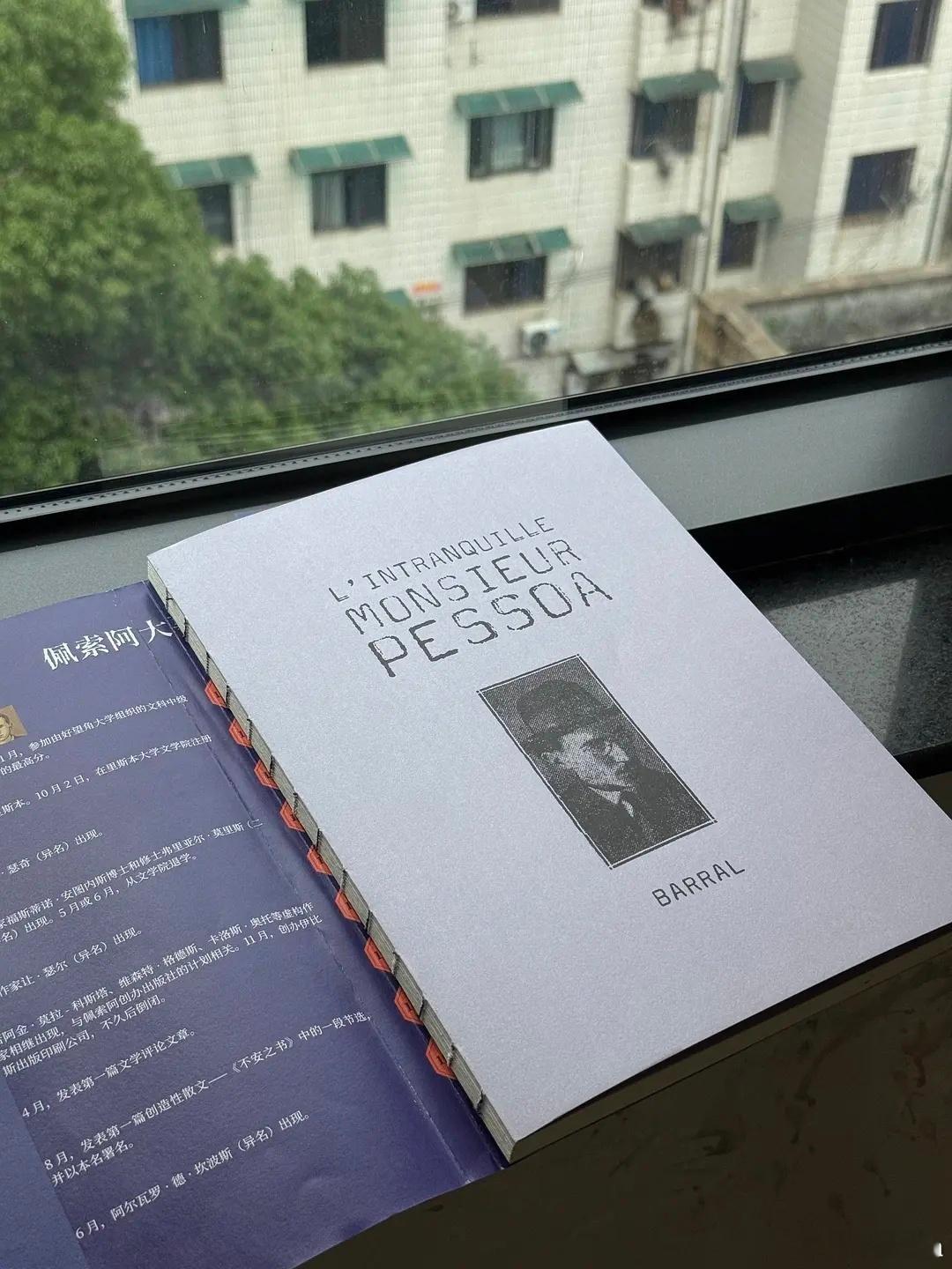 这就是读书的力量 我的私人宝藏书单 书评 《佩索阿最后的时光》【方外】佩索阿首部