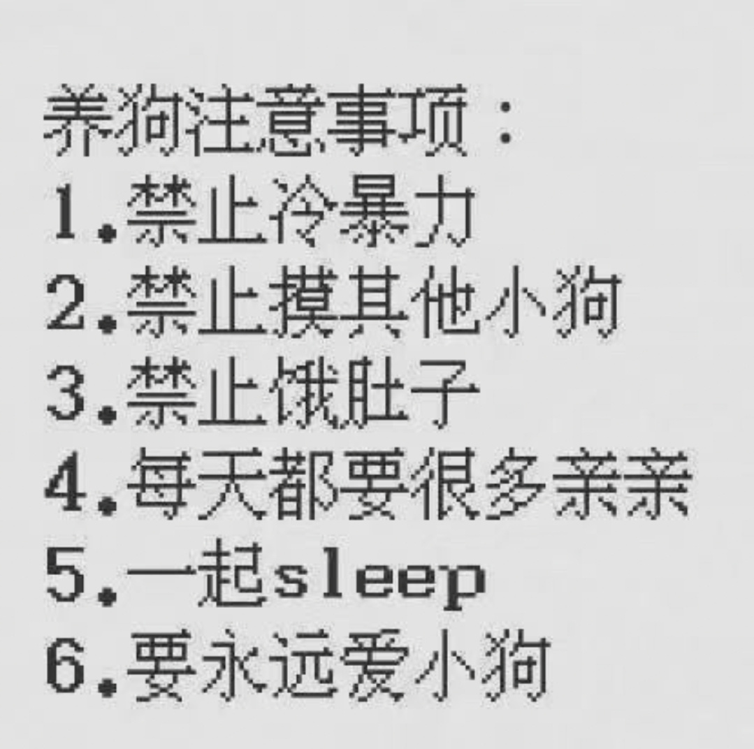 养狗守则第零条 禁止弃养梓渝0706生日快乐