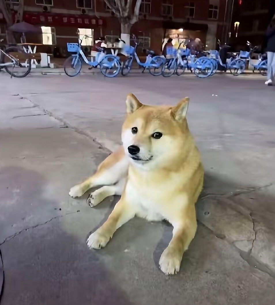 是你吗老朋友，好久不见 
