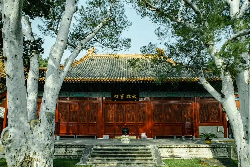 哈哈哈[笑哭]，
今天下午抽签宝地:法海寺壁画博物馆 ​​​！
神秘的东方力量先
