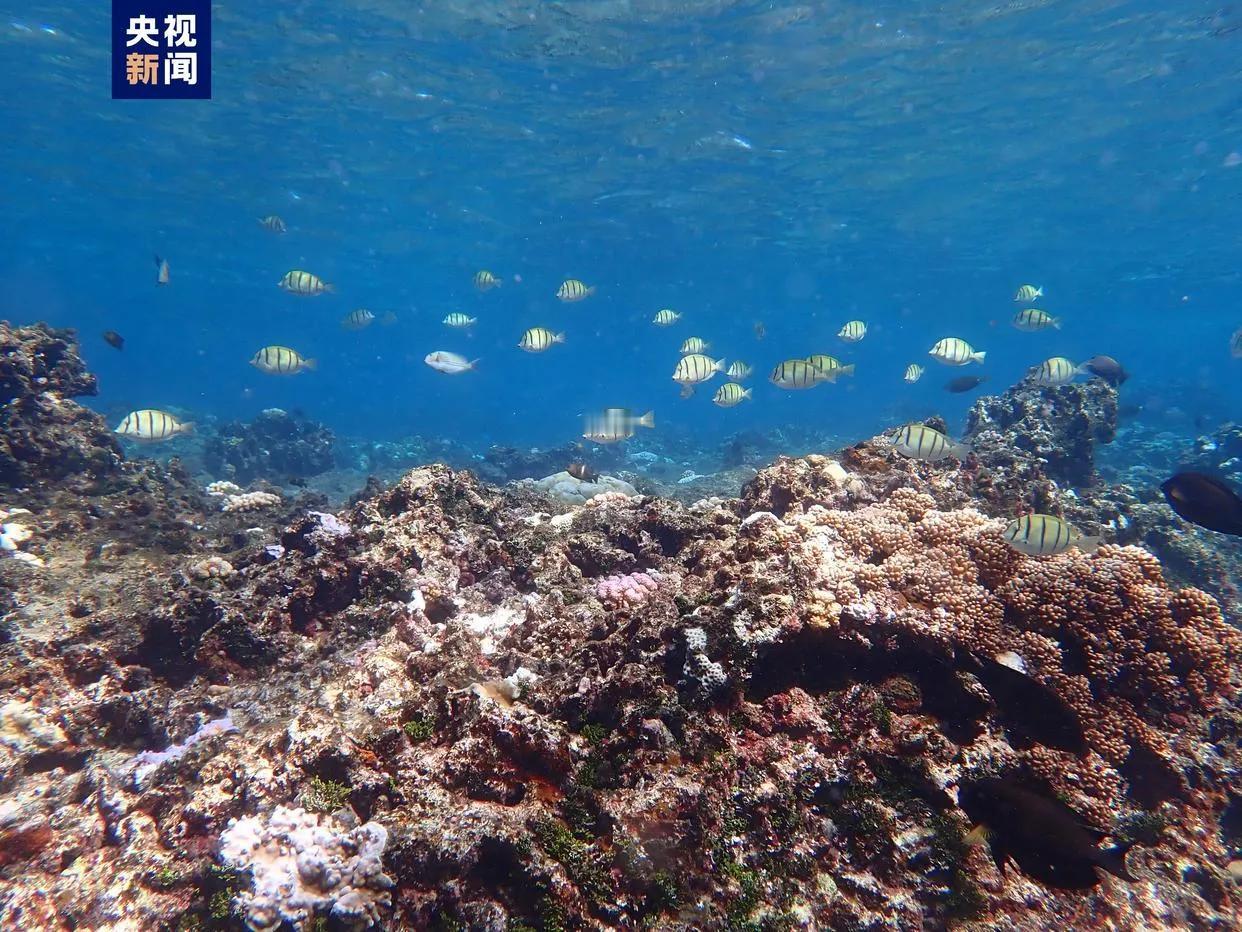 3月16日，恶邻菲律宾外交部发表所谓声明中，厚颜无耻地宣称，菲律宾对黄岩岛和中业