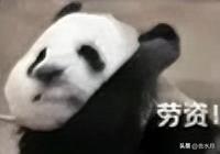 想了想，国内股市这样，一方面市场确实不健全，让很多该吊路灯的钻了空子，另一方面天