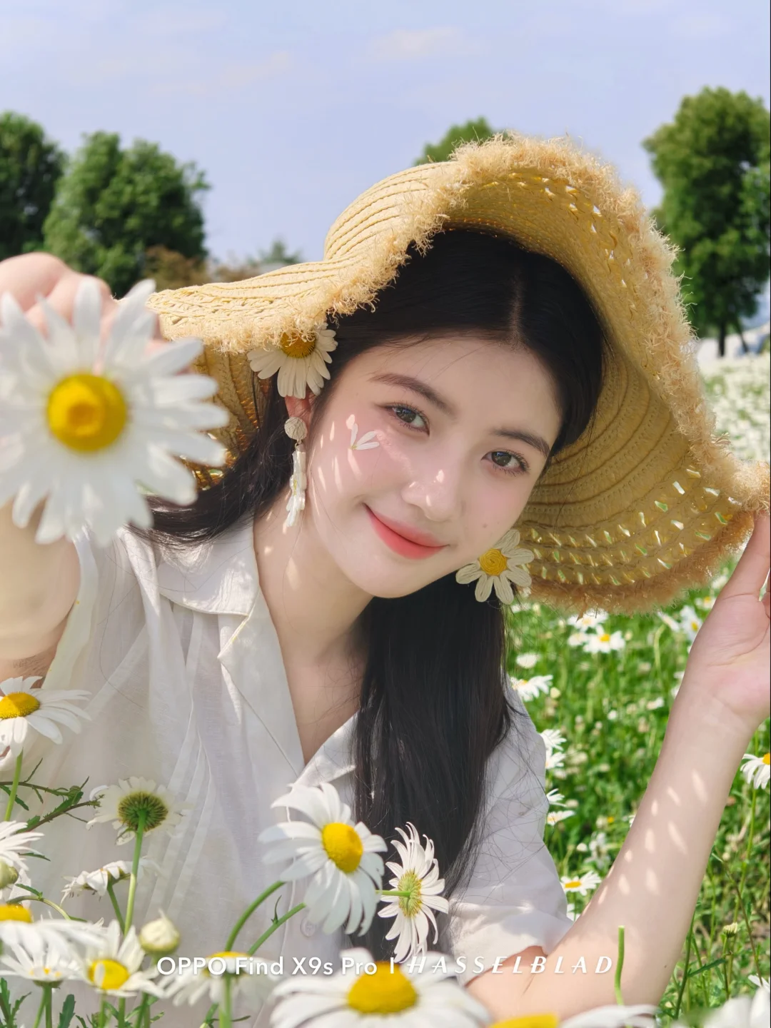 🌼 存一些雏菊花海的拍照教程