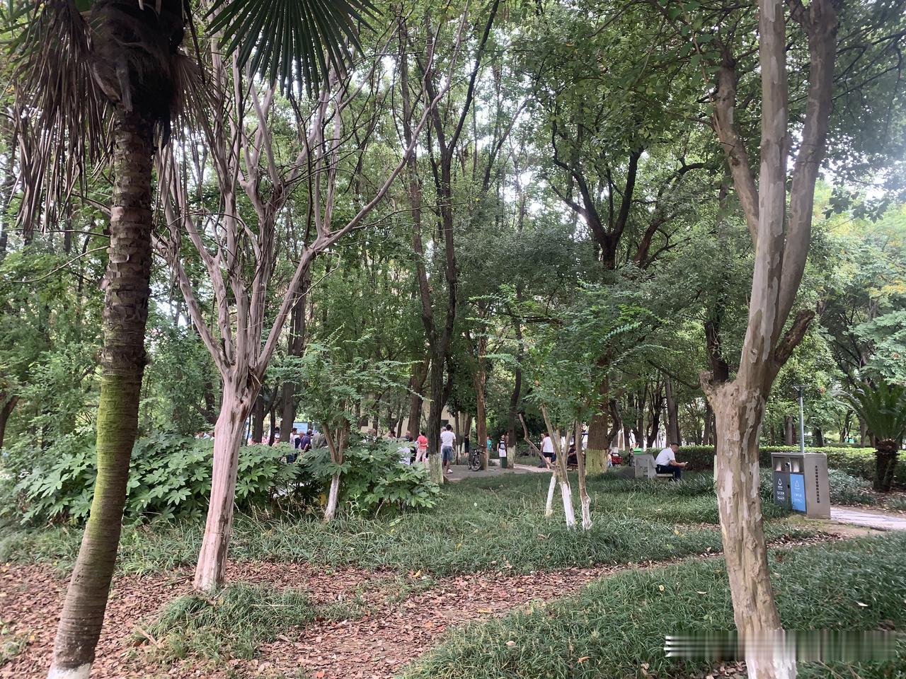 拼多多自从诞生有过什么可圈可点？

说实在的，我日常大部分商品都选择在拼多多采购