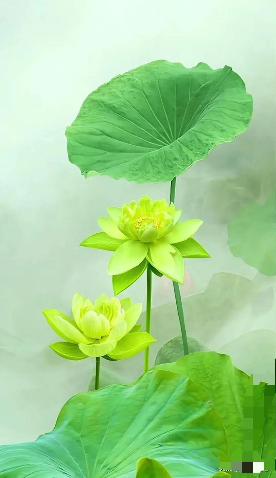 我有个朋友在超市上班，一个月工资4000块，在超市上班5年时间里攒下了21万。她
