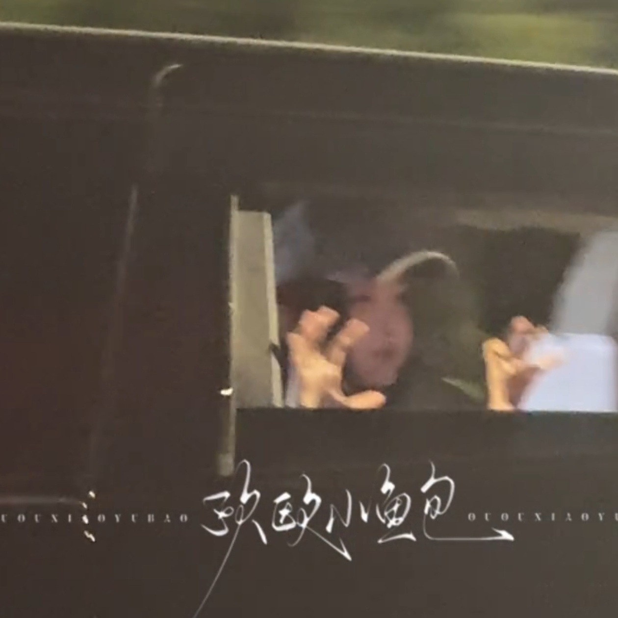 我嗷呜嗷呜 