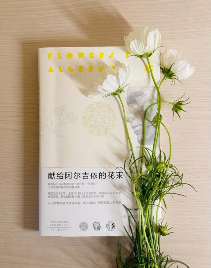 《献给阿尔吉侬的花束》，其中最能戳中的我的不是查理·高登智力起落的荒诞，而是他穷