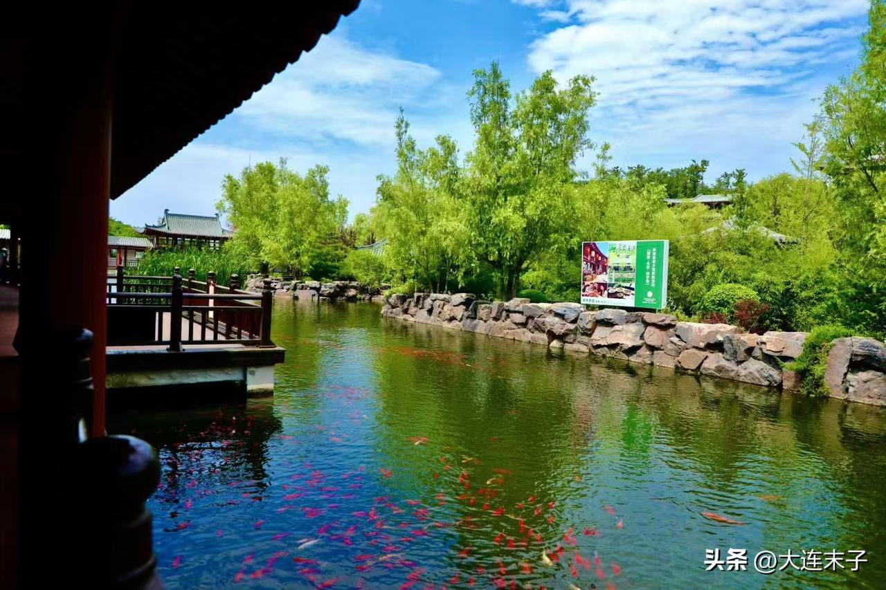 终于热得快到时候了，再坚持4天！

大连高温闷热天气，8日起将有缓解，这是一件极