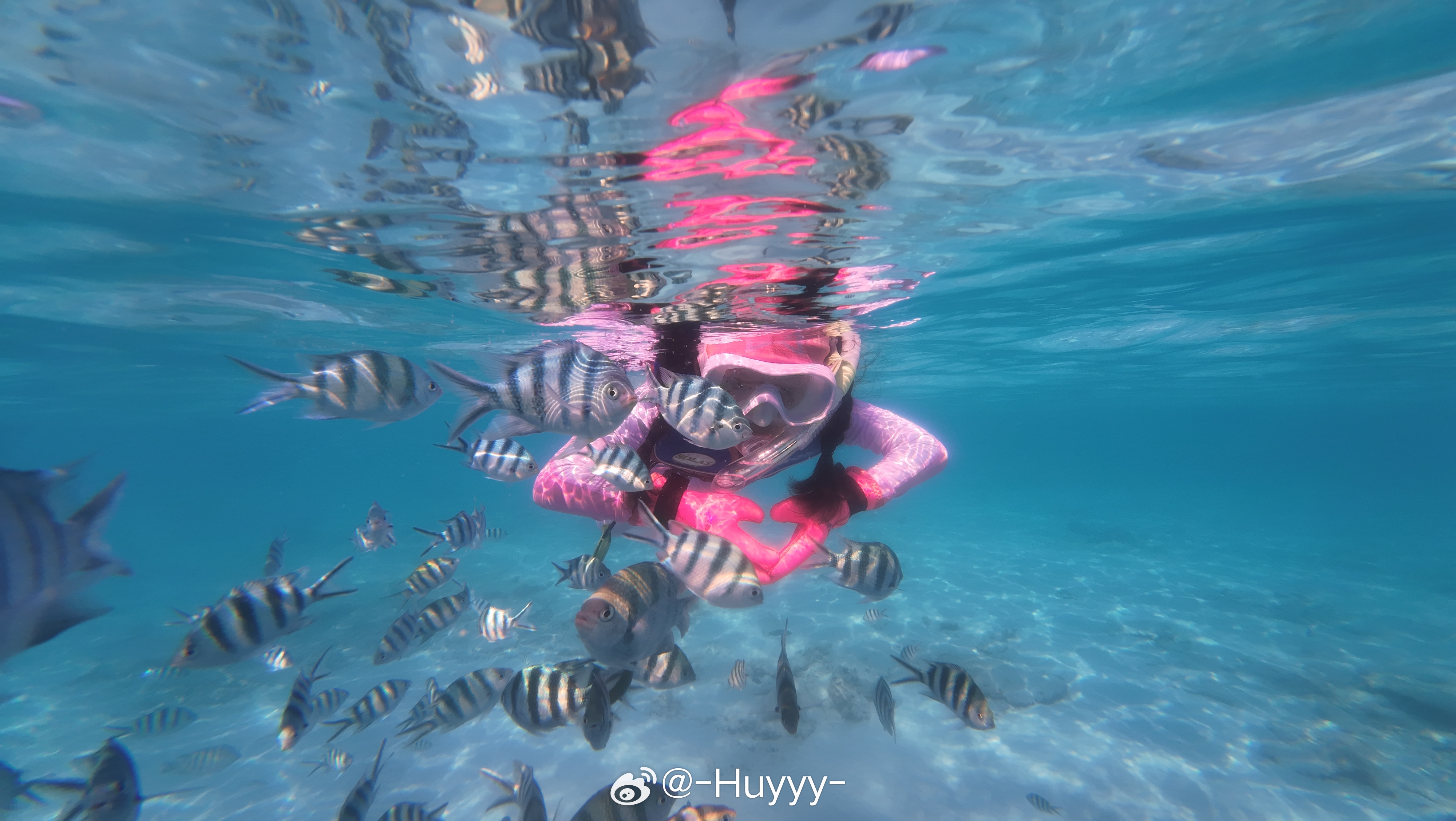 许愿美人鱼🧜♀️海风是自由，🌊浪花是勇气，潜入蓝色海，做勇敢、自由、爱笑的小