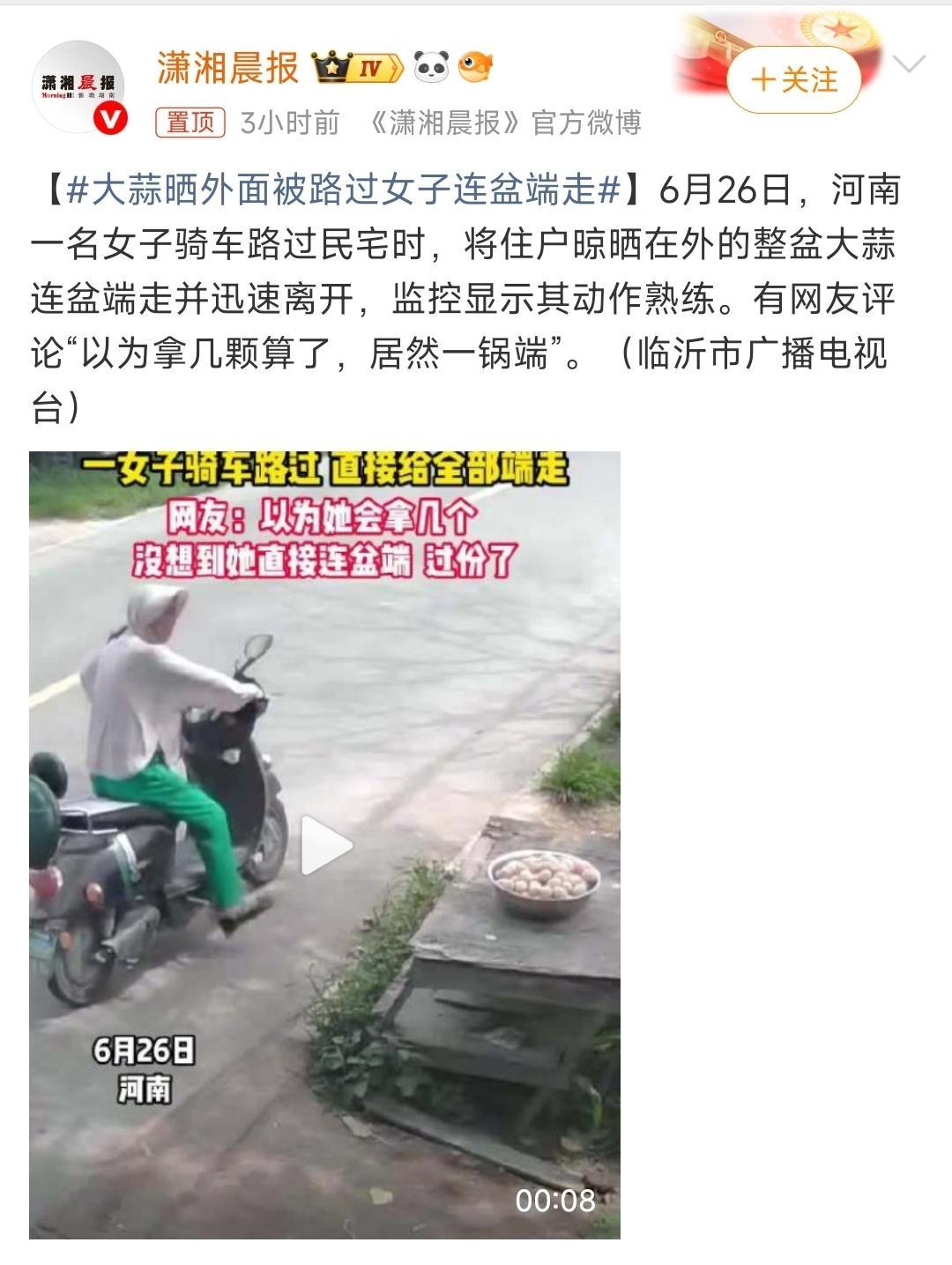 刷到河南那个“大蒜连盆端走”的监控，真的被这大姐的熟练度惊到了。🧄本来以为顶多