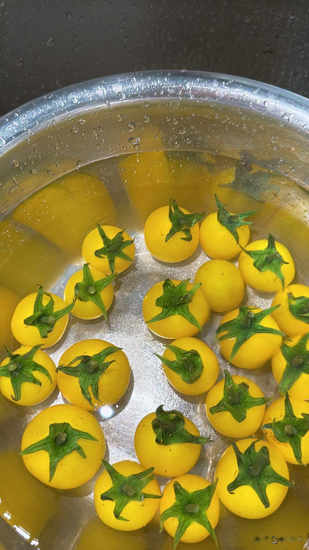 一个女孩子
如果除了工作，整天待在家里
不和别人联系，没有朋友也没有社交活动。