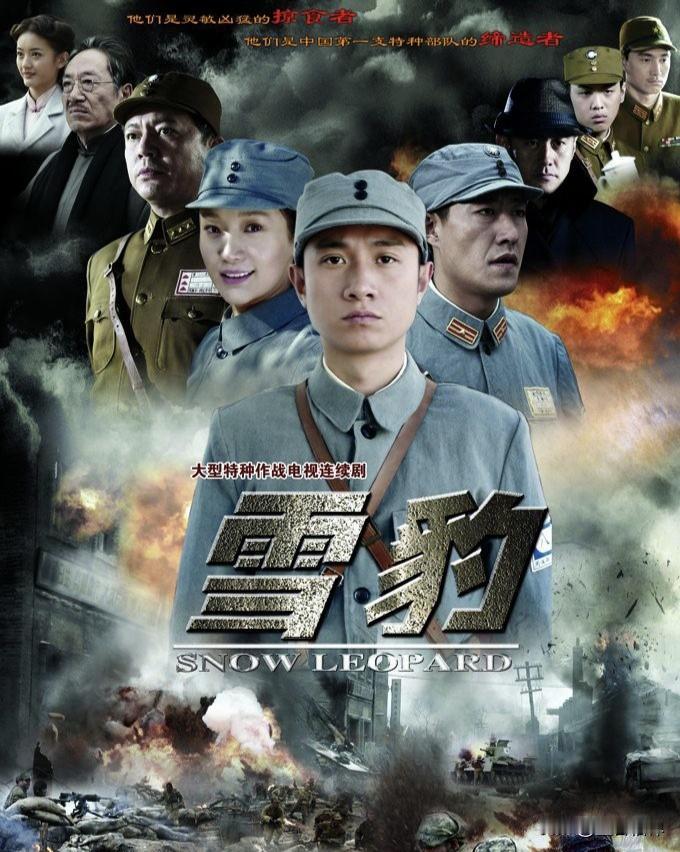 十一放假的时候没事干，又看了一遍文章主演的经典抗战电视剧《雪豹》，以前前面十集没