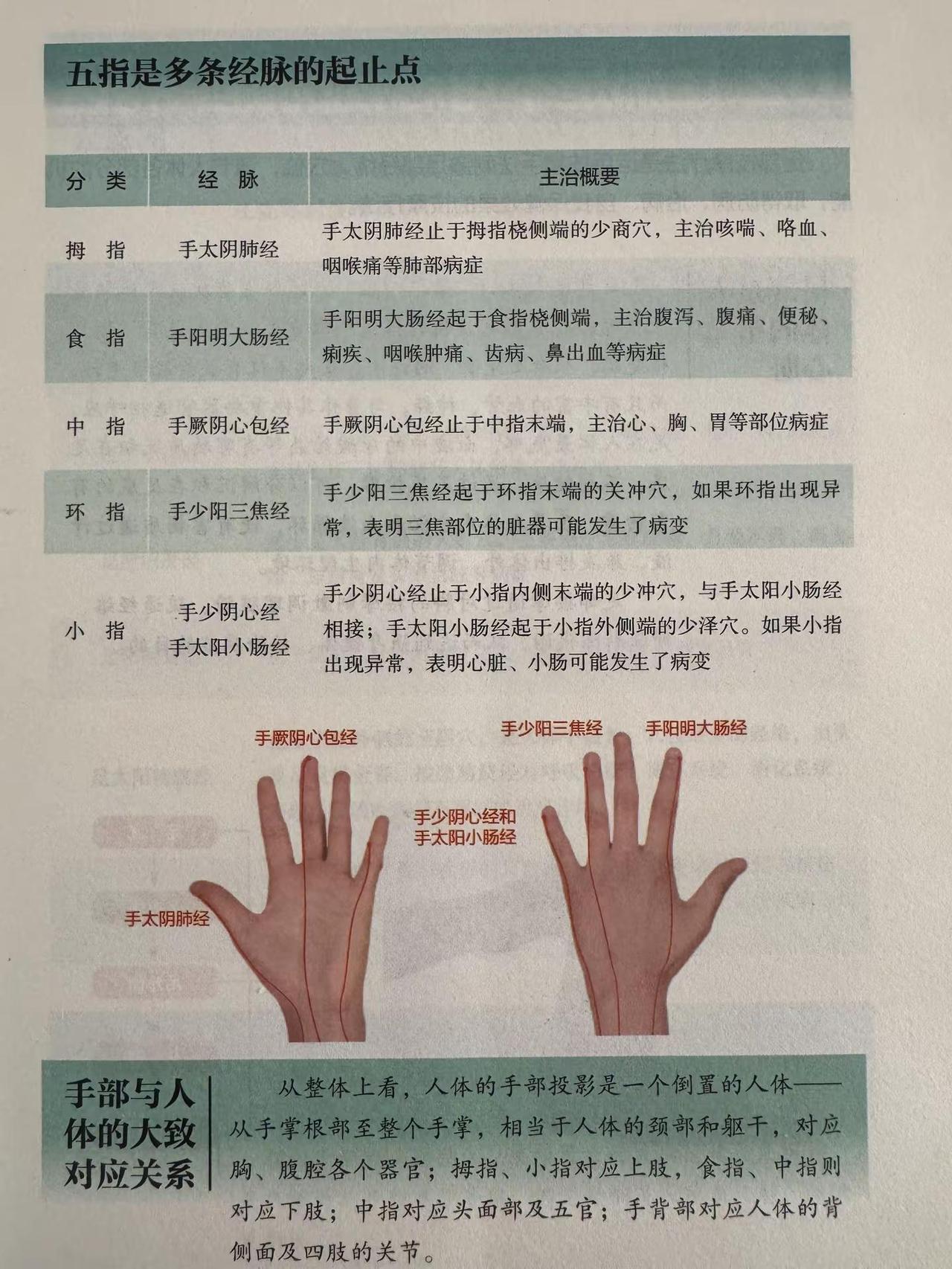 要开始手足按摩，要知手指与人体器官的关联。每天学点医学小知识 每天学点医学小知识