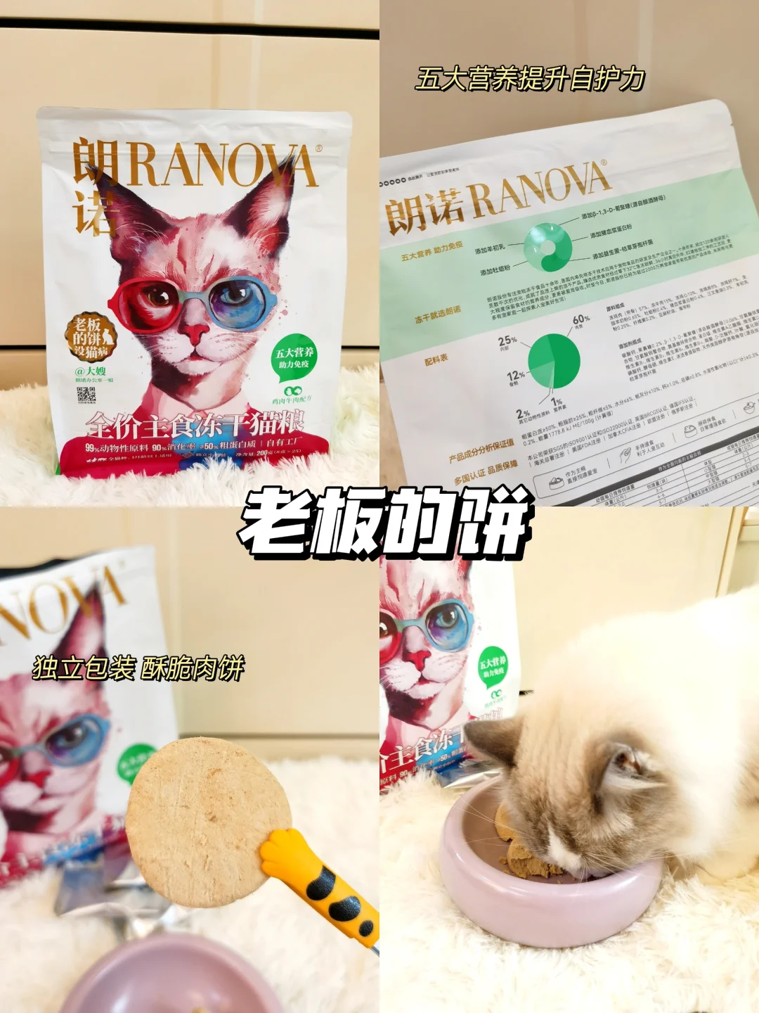 🐾小猫咪许愿可以天天吃到老板画的饼❗