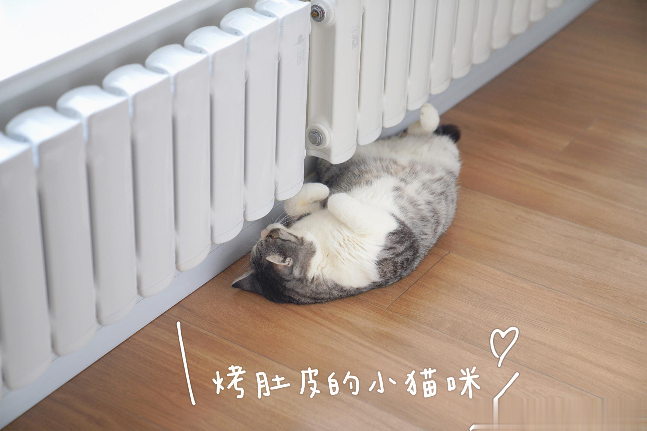 随手拍冬天~ ​​​
