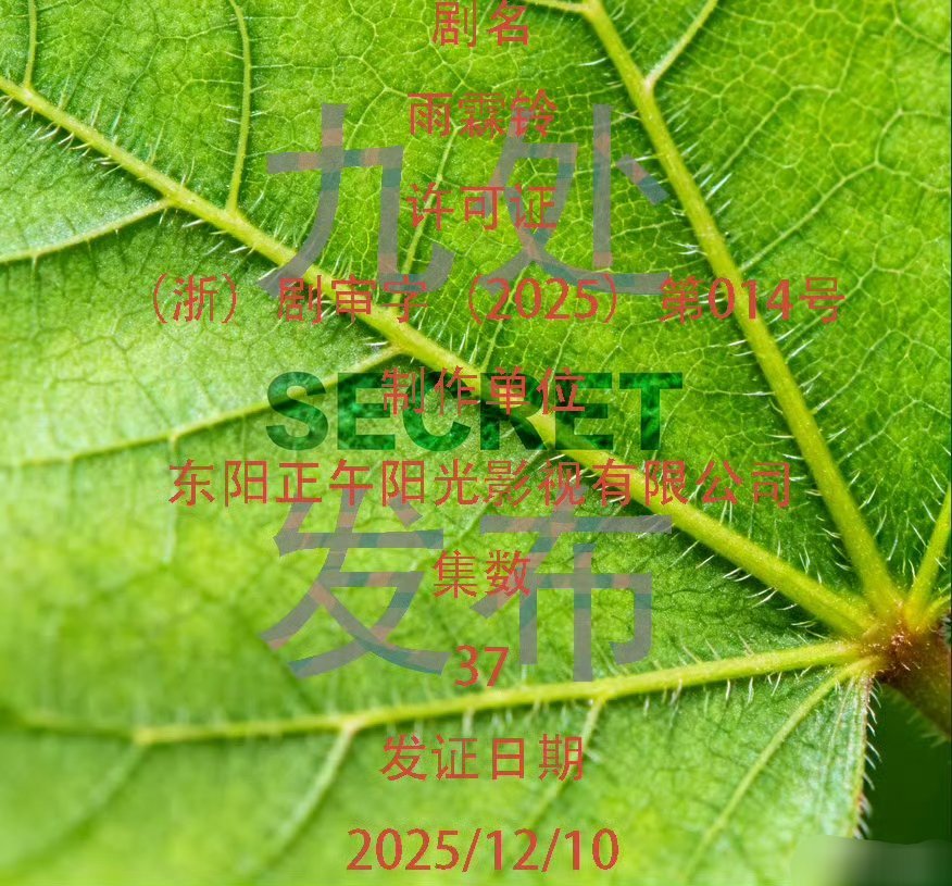 37集古装武侠《雨霖铃》过审下证了！！ 