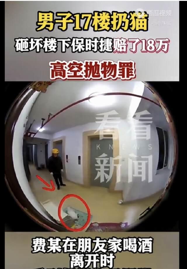 上海，一56岁男子酒后虐猫，将一只流浪猫从17楼的高空扔下，砸中楼下一豪车，豪车