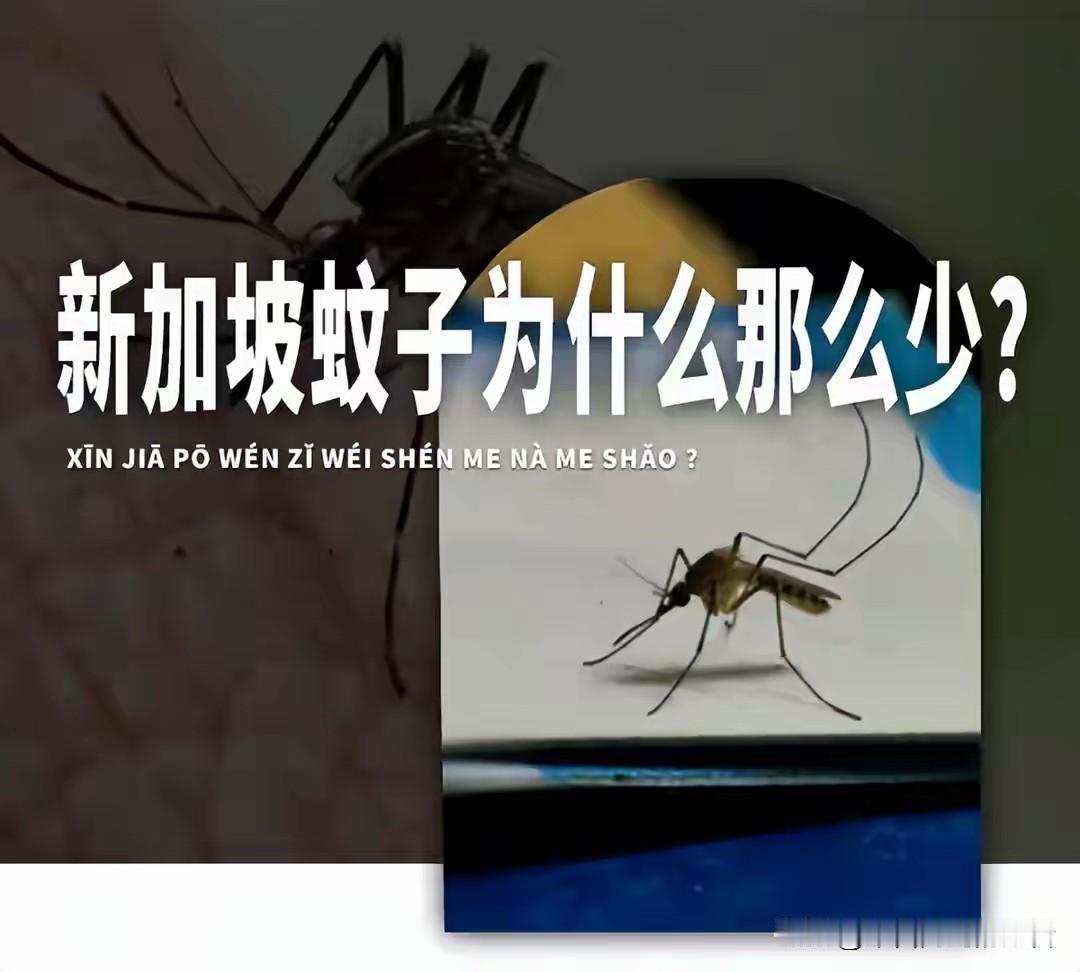 1968年，李光耀把灭蚊子跟住房、饮水、就业这些事列在一起，当成国策来推了。今天