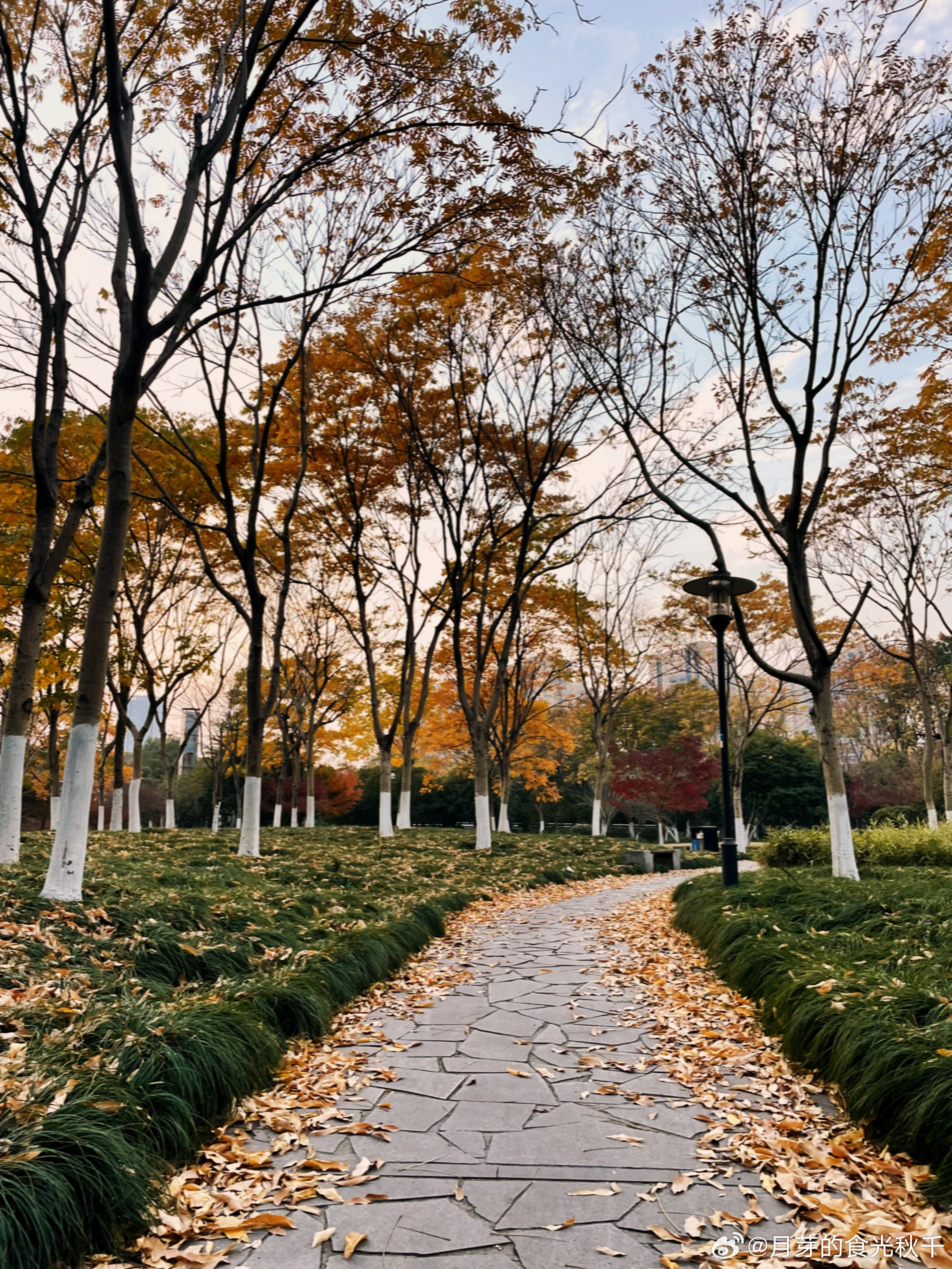 #月芽的食光秋千[超话]#嗨～宝贝们，秋末冬初的季节里，是不是银杏🍂与火锅🍲