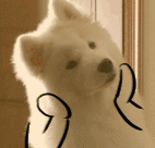 #广州拟立法支持自动驾驶出租车和公交车#现在的科技真的好震撼呀！期待自动驾驶出租