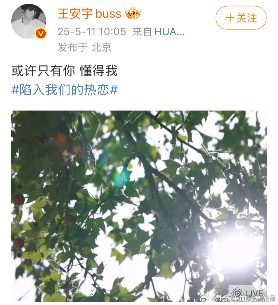 刘浩存和王安宇的《陷入我们的热恋》🐧5.17开播（这部是不是买了《想自由》做o