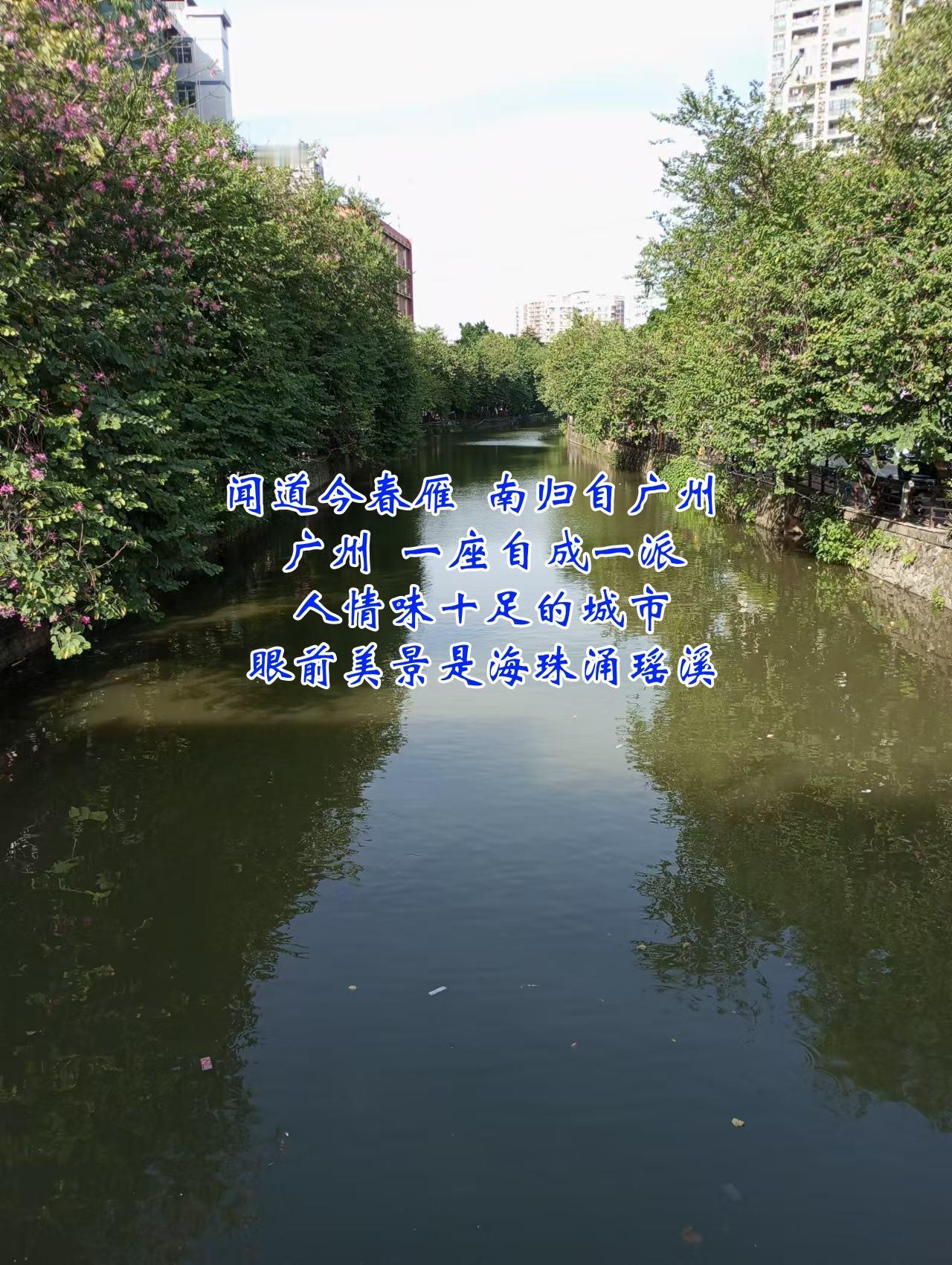 闻道今春雁 南归自广州 广州 一座自成一派 人情味十足嘅城市 眼前美景係海珠涌瑶