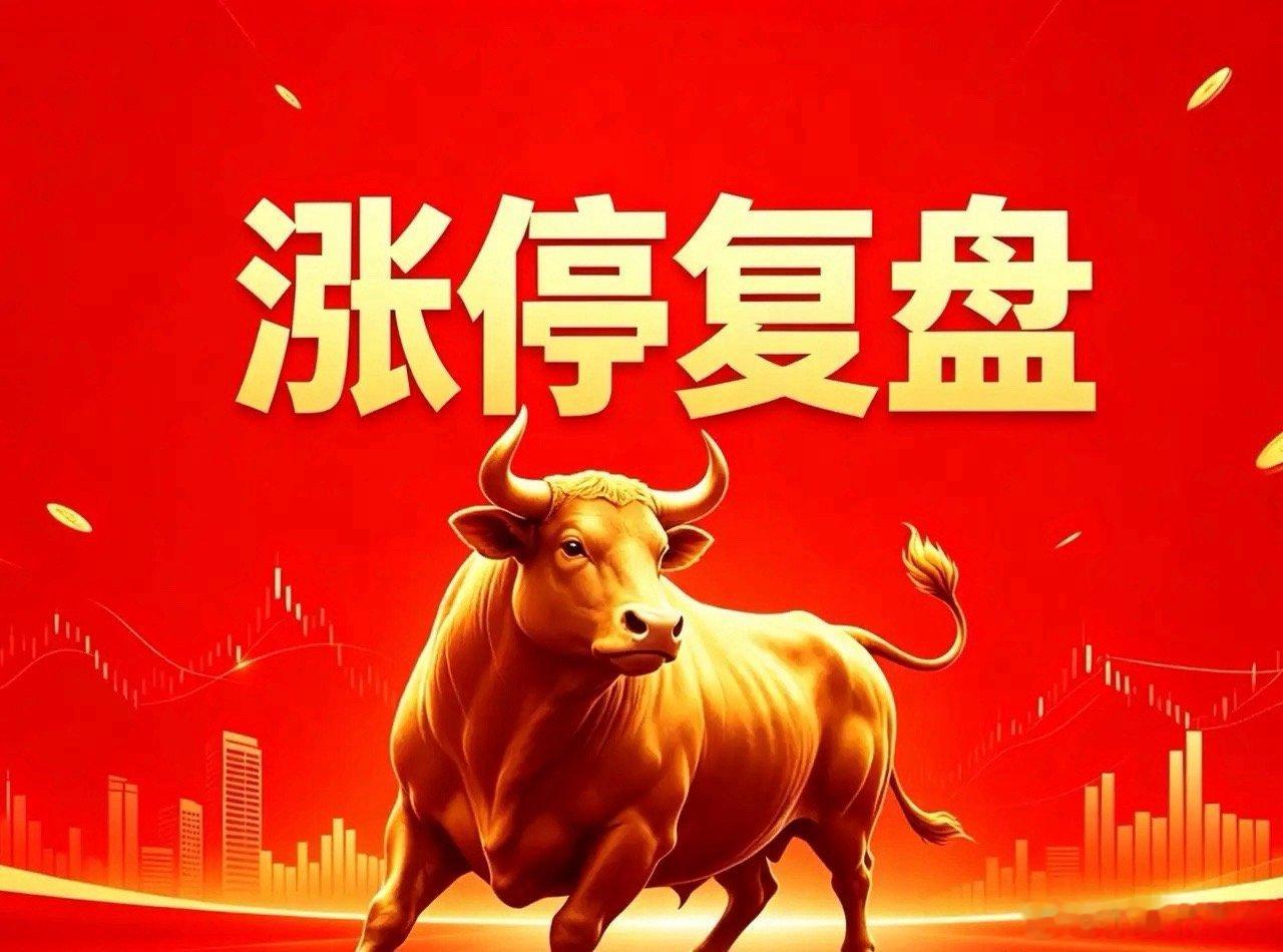 06月09日 涨停逻辑复盘🧩 PCB（24家）- 泰坦股份：电子织布气织机+纺