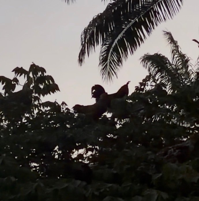 周翊然几周报备 周翊然胡茬自拍 周翊然几周报备，周翊然胡茬自拍，是满分可爱鬼马感