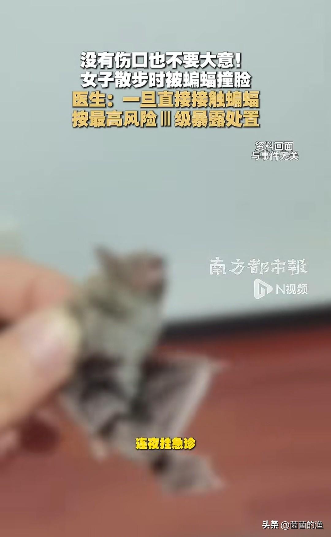 被蝙蝠“糊”脸后，她做对了一件事！医生：这波操作救了她一命。前几天浙江诸暨的赵女
