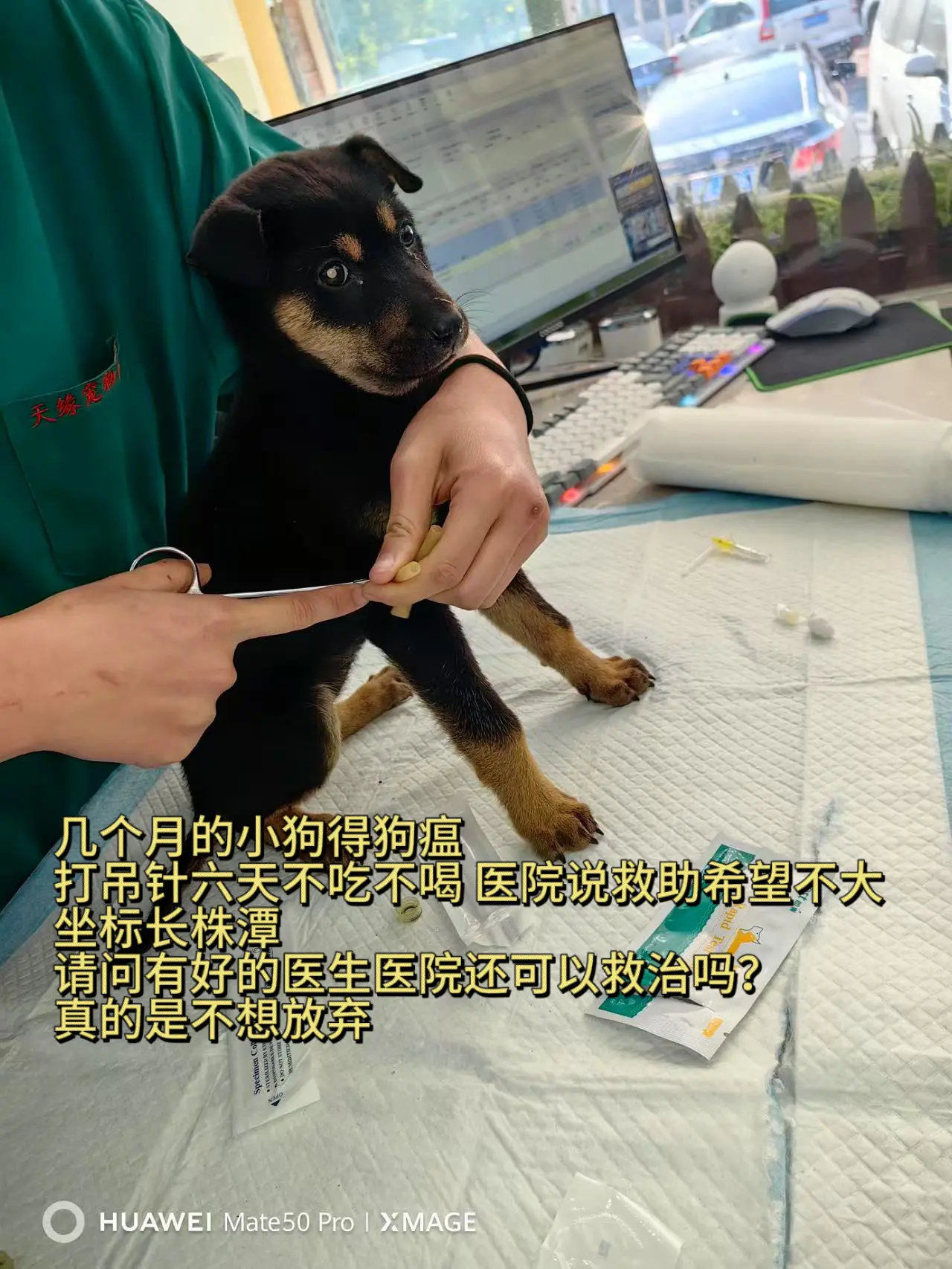 请问各位有办法吗？？一直在拉稀 求求了 我甚至还没有回家见上一面他就要走了